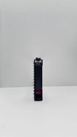 Img 7526